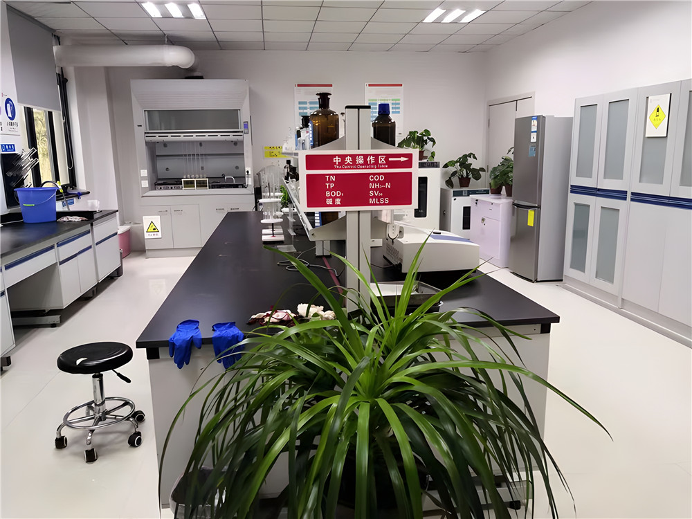 步履堅定，共繪高質量發(fā)展新篇章