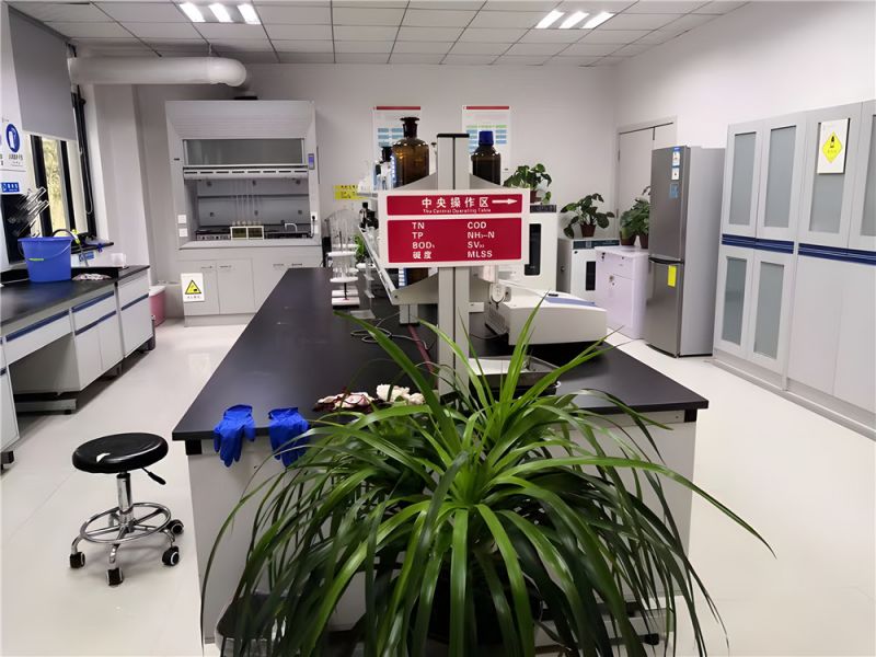 步履堅(jiān)定，共繪高質(zhì)量發(fā)展新篇章