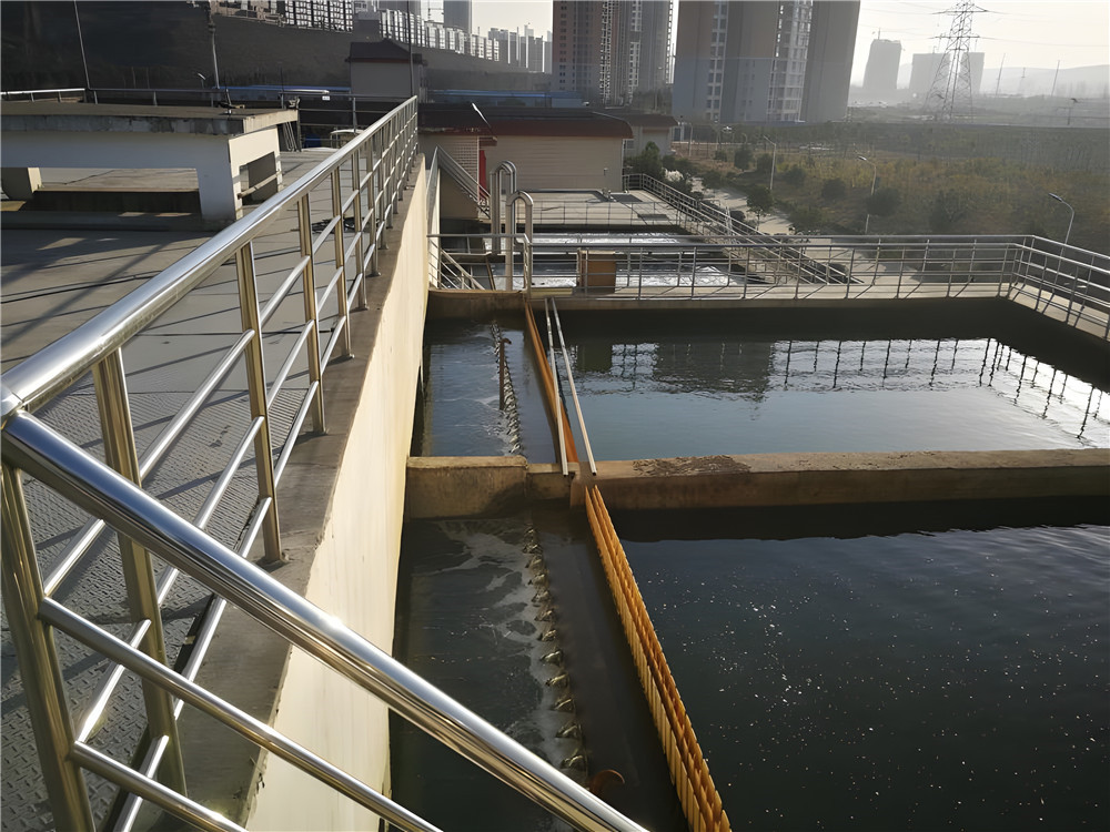 復(fù)合碳源具有哪些重要作用？